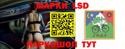 МДПВ Бийск