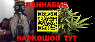 МДПВ Бийск