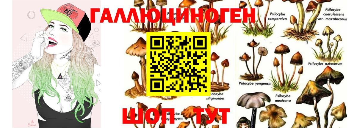 Галлюциногенные грибы Magic Shrooms Волгодонск