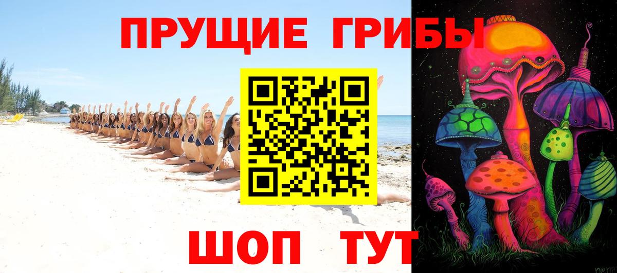 закладка  Псилоцибиновые грибы мухоморы  Псилоцибиновые грибы Psilocybe  Вход с VPN  Волгодонск 